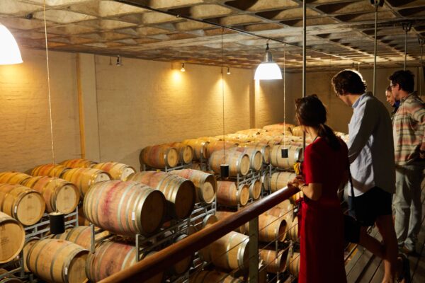 Etna Wine Escape: Vineyard Tour & Sicilian Aperitivo