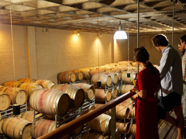 Etna Wine Escape: Vineyard Tour & Sicilian Aperitivo