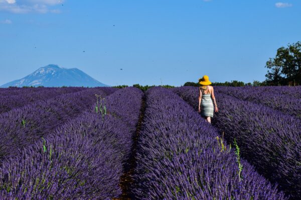 Provence Photography Walk