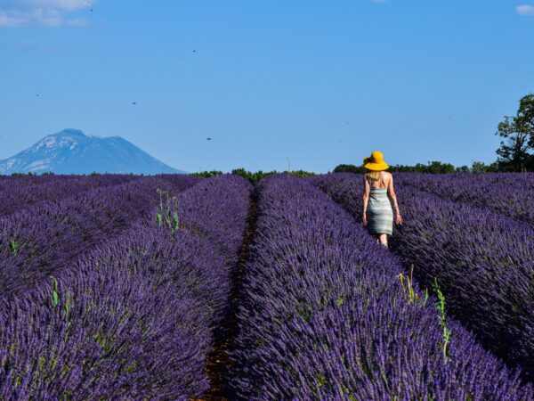 Provence Photography Walk
